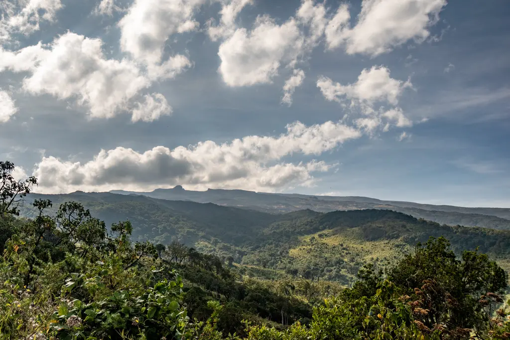 Mount Elgon panorama photo