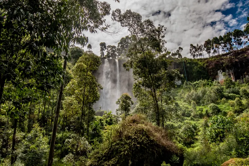 Sipi Falls forest with the sipi falls in the background