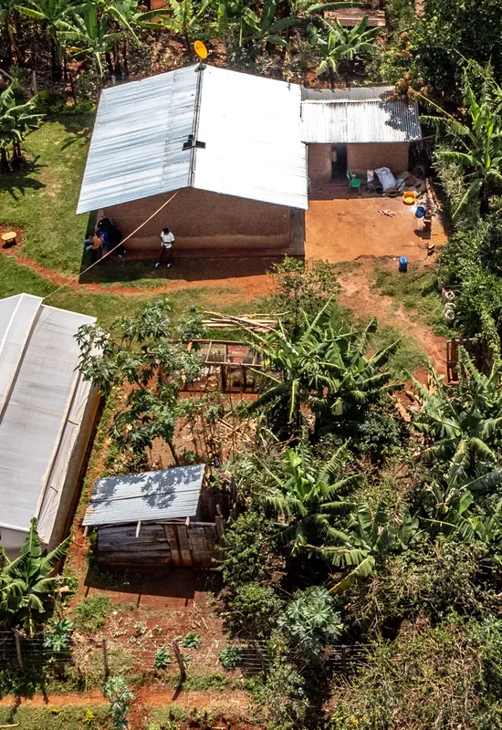 coffee farm in east uganda