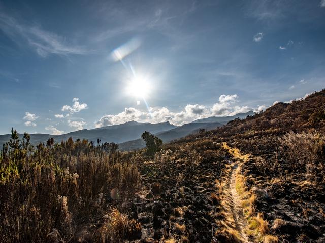 Hiking trail on Mount Elgon