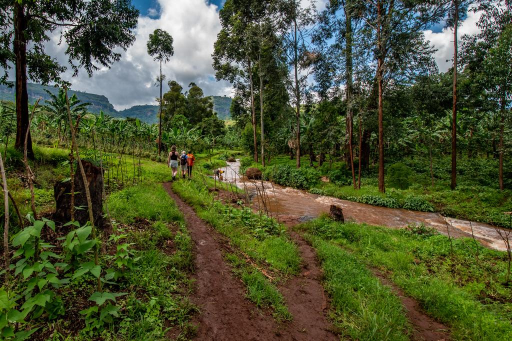 hiking trail at the sisiyi river